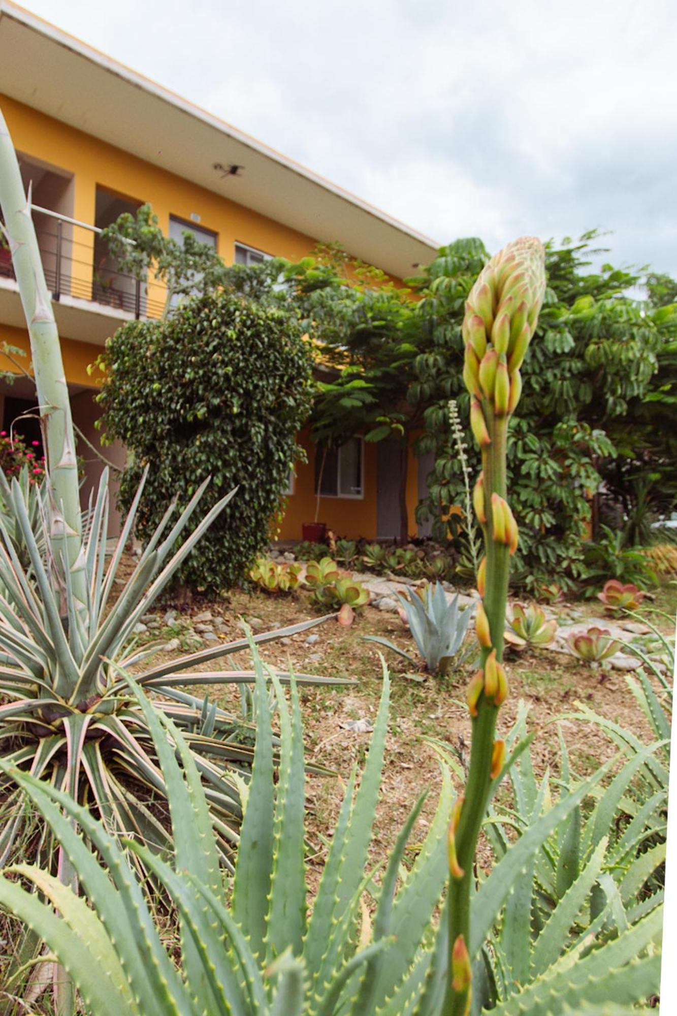 Hotel Guiva San Pablo Hacienda Blanca Exterior foto